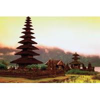 9-Day Best of Bali Tour: Ubud, Sidemen, Mt Batur, Lovina and Bedugul