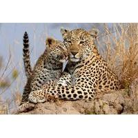 9 day private safari treasures of east africa from nairobi