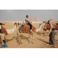 9-Day Egypt Highlights Tour from Cairo