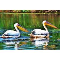 9 Day Private Tour in Danube Delta from Bucharest