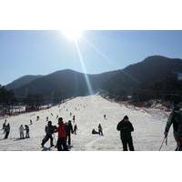 9-Hour Ski Tour to Jisan Ski Resort or Yangji Resort from Seoul