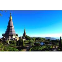 9 hour small group hike doi inthanon national park with transfers from ...