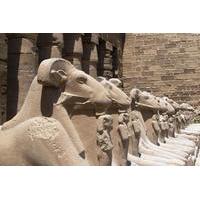 9 night small group sands and sea tour from cairo
