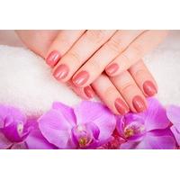 9 instead of 25 for a shellac manicure 14 for a shellac manicure and s ...