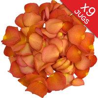 9 jugs of peach rose petals