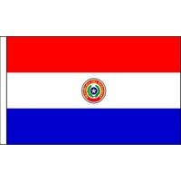 9 x 6 paraguay satin table flag