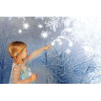 9 instead of 175 for a frozen inspired or magical fairy elf shoot alon ...