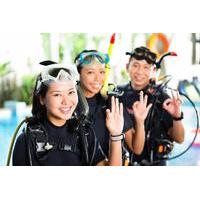9 instead of 25 for an ssi try scuba diving experience for two people  ...