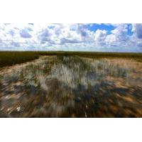 90-Minute Private Air Boat Tour of Everglades National Park