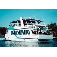 90 minute 1000 islands sightseeing cruise