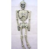 90cm Long Halloween Skeleton