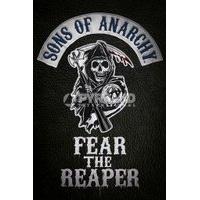 91.5 x 61cm Sons Of Anarchy Fear The Reaper Maxi Poster