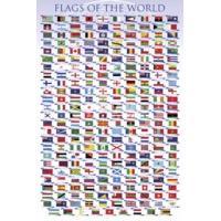 9150 x 61cm flags of the world maxi poster