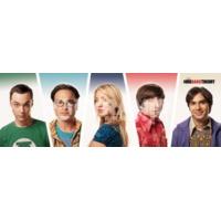 91.5 x 30.5cm The Big Bang Theory Cast Slim Poster