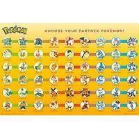 91cm x 61cm Pokemon Partner Poster