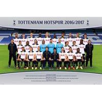 915cm x 61cm tottenham hotspur 20162017 team photo poster