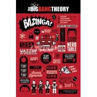 915 x 61cm the big bang theory infographic maxi poster