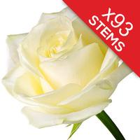 93 White Roses