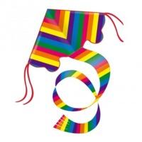 97 x 58cm Rainbow Colours Kite