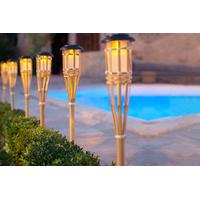 999 instead of 3599 from vivo mounts for two solar bamboo torch lights ...