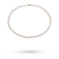 9ct Yellow Gold 6-6.5mm Freshwater Pearl Necklet