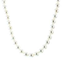 9ct 7.5-8mm Akoya 18 Inch Necklet WAX029409