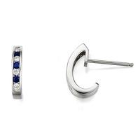 9ct White Gold Diamond Sapphire Half Hoop Earrings 20.01782.101