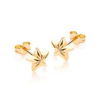 9ct Gold Star Stud Earrings 1551483