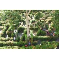 A-Maze Garden Admission Phuket