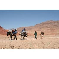 A Itinerant Hiking Trip of 5 Days with Accommodation among Nomads