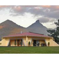 A View of Mt Warning Bed and Bre...