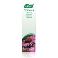 A. Vogel Echinacea Toothpaste 100g