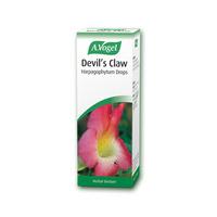 A. Vogel Devil\'s Claw, 100ml