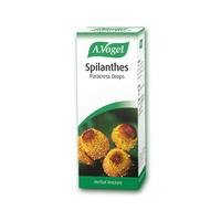 a vogel spilanthes 50ml