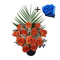 a single blue rose surrounded by 11 orange roses