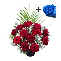 A single Blue Rose surrounded by 11 Deep Red Naomi Roses