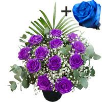 a single blue rose surrounded by 11 purple roses