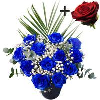 A single Red Rose surrounded by 11 Blue Roses
