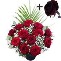 A single Black Rose surrounded by 11 Deep Red Naomi Roses