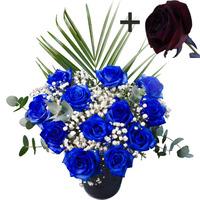 a single black rose surrounded by 11 blue roses