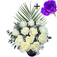 a single purple rose surrounded by 11 white roses