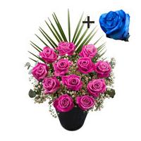 A single Blue Rose surrounded by 11 Pink Roses