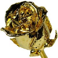 A 12Inch 24kt Gold Dipped Rose