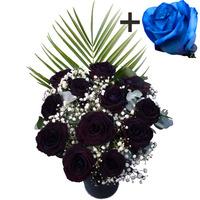 A single Blue Rose surrounded by 11 Black Roses