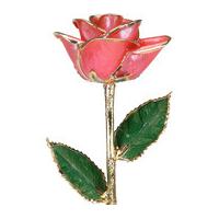 A Pink 12Inch 24kt Gold Trimmed Rose