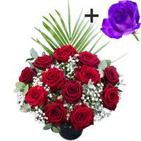 a single purple rose surrounded by 11 deep red naomi roses