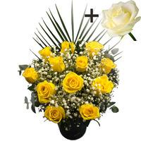 a single white rose surrounded by 11 yellow roses