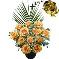 A single 17Inch Gold Dipped Rose surrounded by 11 Peach Roses