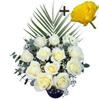 A single Yellow Rose surrounded by 11 White Roses