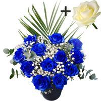 A single White Rose surrounded by 11 Blue Roses